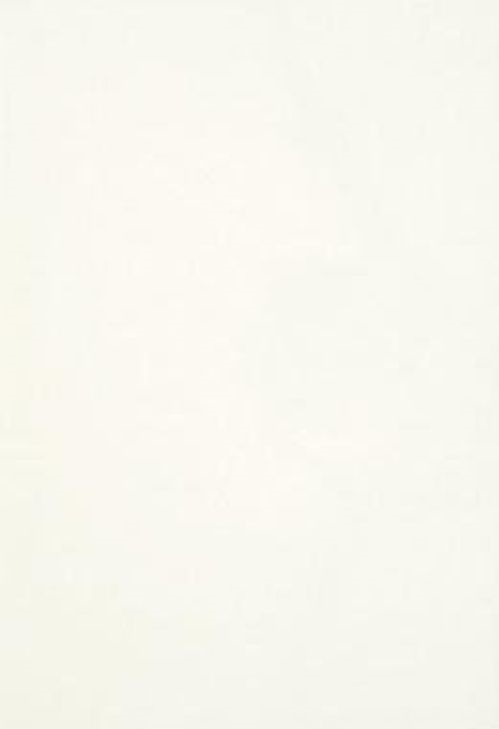Плитка настенная ВКЗ, серия Люкс, цвет белый, 200*300*7 мм